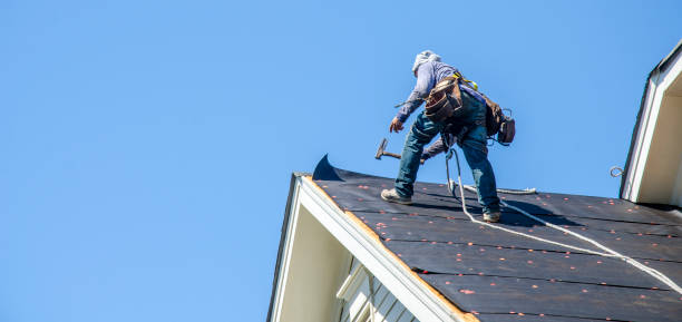 Best Storm Damage Roof Repair  in Boaz, AL